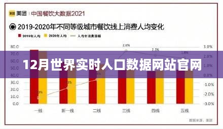 全球实时人口数据官网发布最新人口统计信息