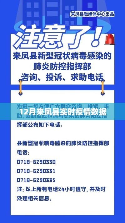 来凤县最新疫情实时数据报告