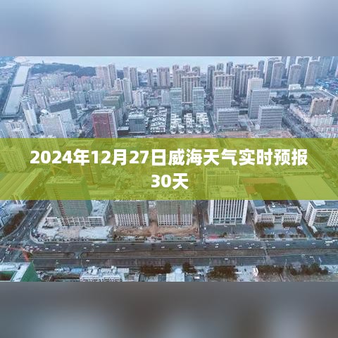 2024年12月30日 第4页