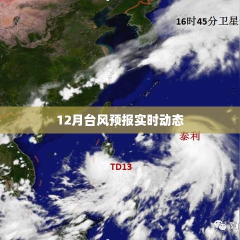 台风实时动态，12月预报更新