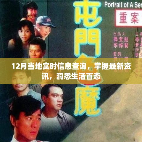 12月最新实时信息查询，生活资讯一网打尽