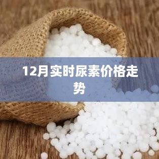 12月尿素价格实时走势分析