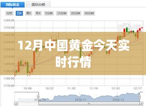 中国黄金今日实时行情分析