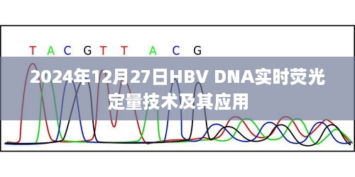 HBV DNA实时荧光定量技术及应用进展