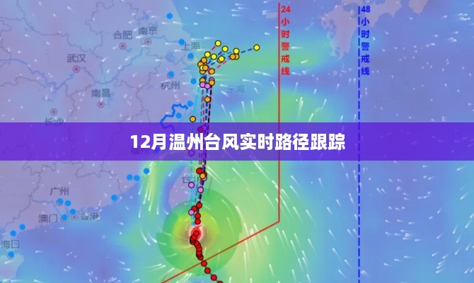 温州台风实时路径跟踪报道