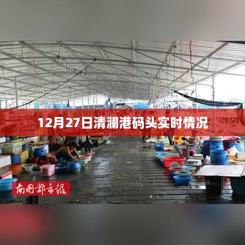 清澜港码头最新实时动态，12月27日实拍