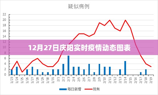 庆阳最新实时疫情动态图表数据发布