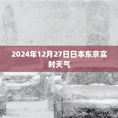 东京实时天气查询，2024年12月27日最新天气预报