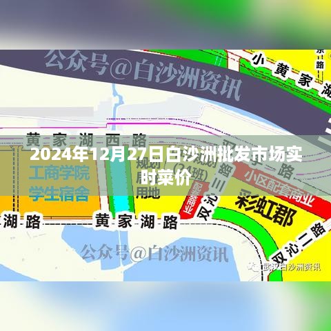 白沙洲批发市场最新菜价（实时更新）