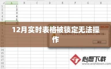 12月实时表格锁定问题解析