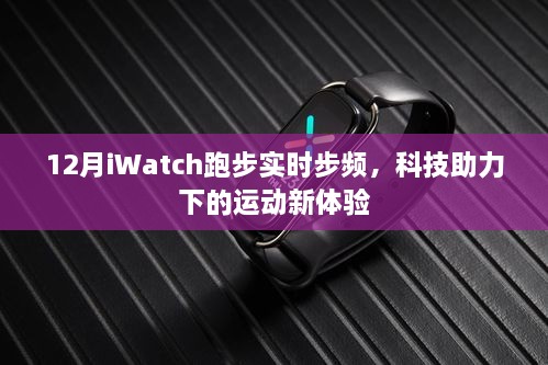 iWatch实时步频监测，科技赋能运动新体验