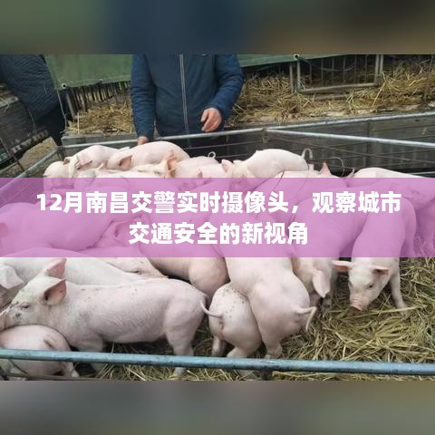 南昌交警实时摄像头观察城市安全交通新动态