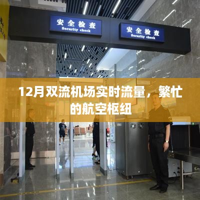 12月双流机场实时流量，航空枢纽的繁忙之旅