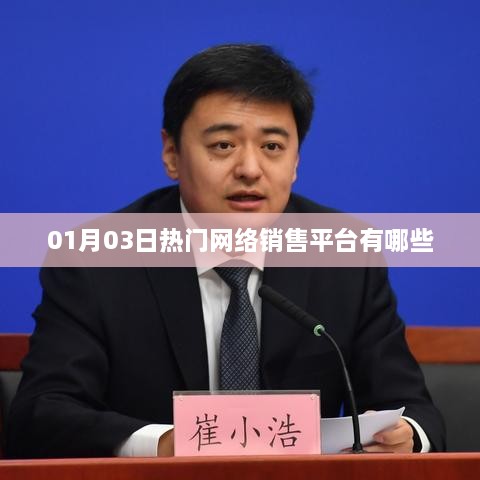 热门网络销售平台大揭秘，01月03日最新榜单