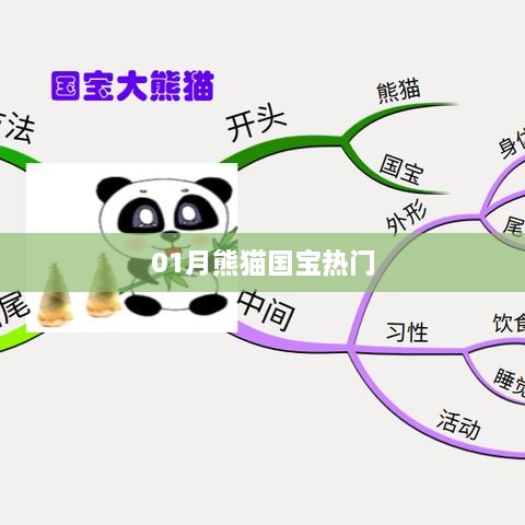 熊猫国宝成为热门焦点