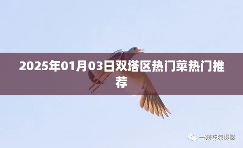 双塔区美食推荐，2025年热门菜大盘点