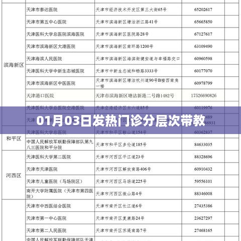 01月03日发热门诊的分层次带教实践