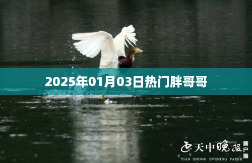 2025年1月3日，胖哥哥的热门时刻