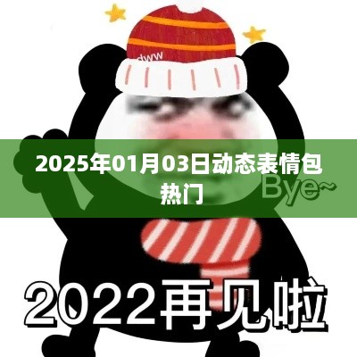 2025年1月3日热门动态表情包盘点