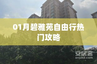 碧雅苑一月自由行攻略大全