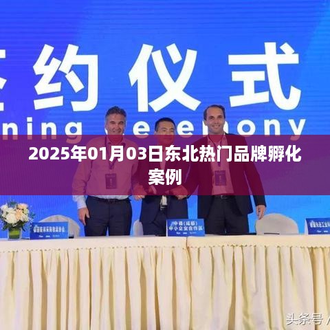 东北品牌孵化案例，热门品牌成长之路（2025年）