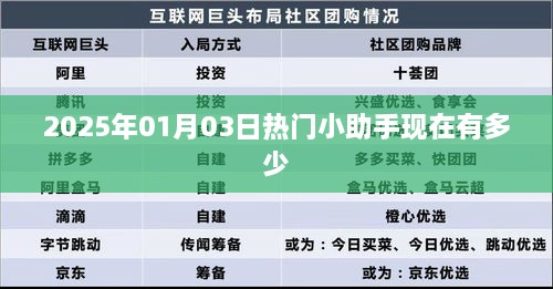 热门小助手最新数据曝光，2025年1月3日动态