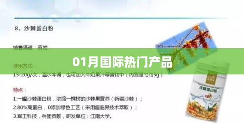 全球热门产品榜单发布，一月份新品瞩目登场