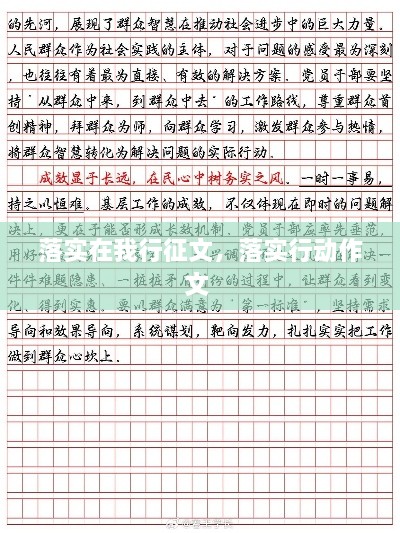 落实在我行征文，落实行动作文 