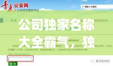 公司独家名称大全霸气，独一无二的公司取名 