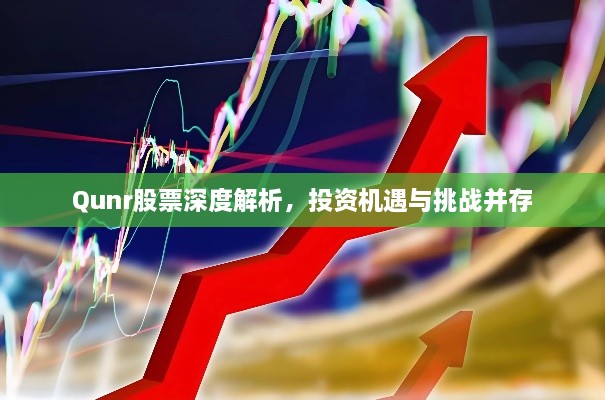 Qunr股票深度解析，投资机遇与挑战并存