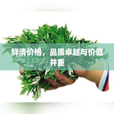 鲜清价格，品质卓越与价值并重