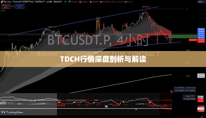 TDCH行情深度剖析与解读