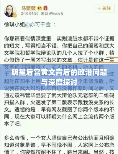 明星后宫黄文背后的政治问题与深度探讨