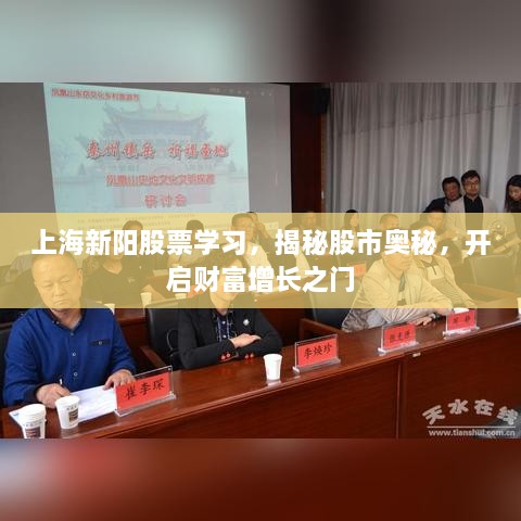 上海新阳股票学习，揭秘股市奥秘，开启财富增长之门