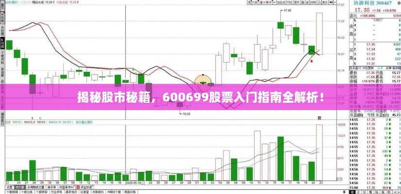 揭秘股市秘籍，600699股票入门指南全解析！