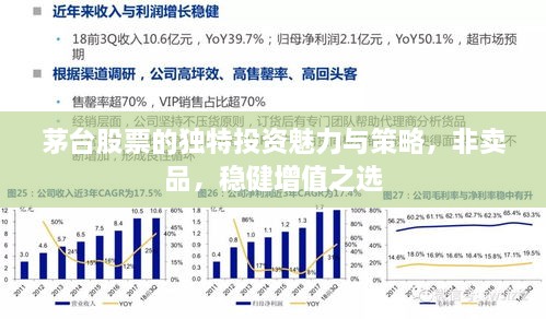 茅台股票的独特投资魅力与策略，非卖品，稳健增值之选