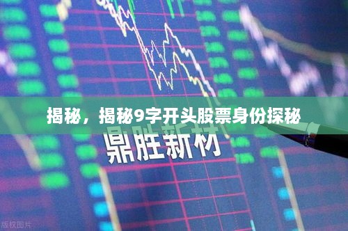 揭秘，揭秘9字开头股票身份探秘