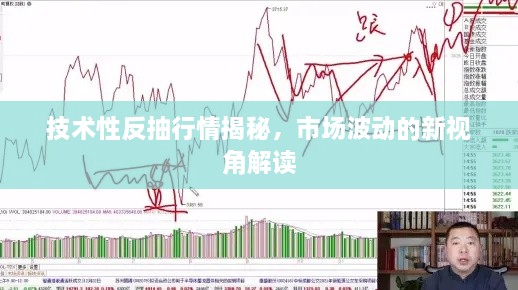 技术性反抽行情揭秘，市场波动的新视角解读