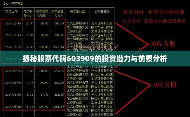 揭秘股票代码603909的投资潜力与前景分析