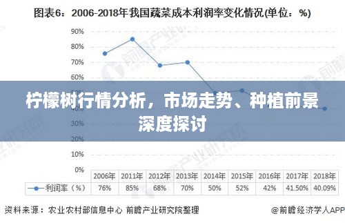 柠檬树行情分析，市场走势、种植前景深度探讨