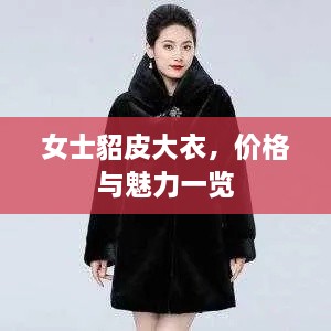 女士貂皮大衣，价格与魅力一览