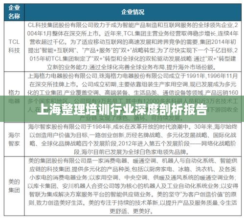 上海整理培训行业深度剖析报告