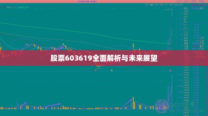 股票603619全面解析与未来展望