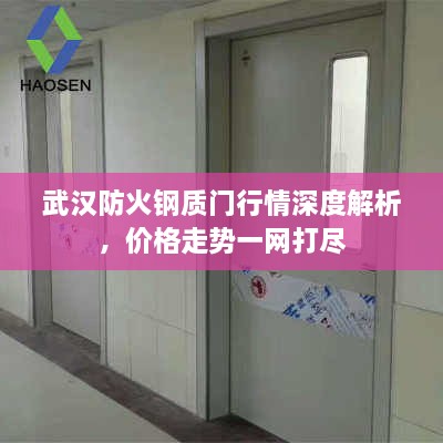 武汉防火钢质门行情深度解析，价格走势一网打尽