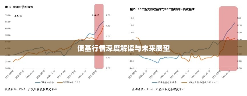 债基行情深度解读与未来展望