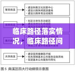 临床路径落实情况，临床路径问题及整改措施 