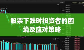 股票下跌时投资者的困境及应对策略