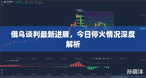 俄乌谈判最新进展，今日停火情况深度解析