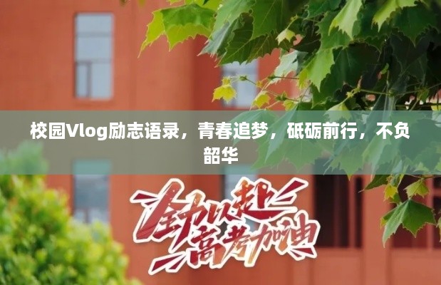 校园Vlog励志语录，青春追梦，砥砺前行，不负韶华