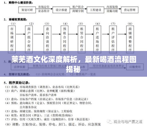 莱芜酒文化深度解析，最新喝酒流程图揭秘